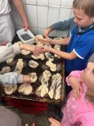 WhatsApp-Image-2026-02-19-at-1257039