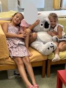 Koala-auf-Sofa
