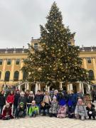 Vorm-Baum
